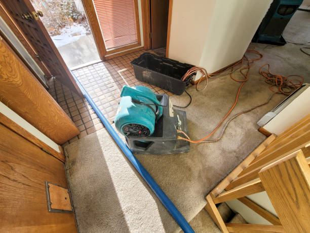 Best Flood damage cleanup  in Towanda, KS