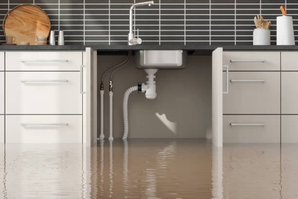 Professional Water damage restoration in Towanda, KS